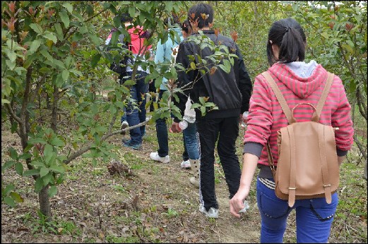 教育发展基金会社资处党支部与物联网11党支部开展环蠡湖徒步活动