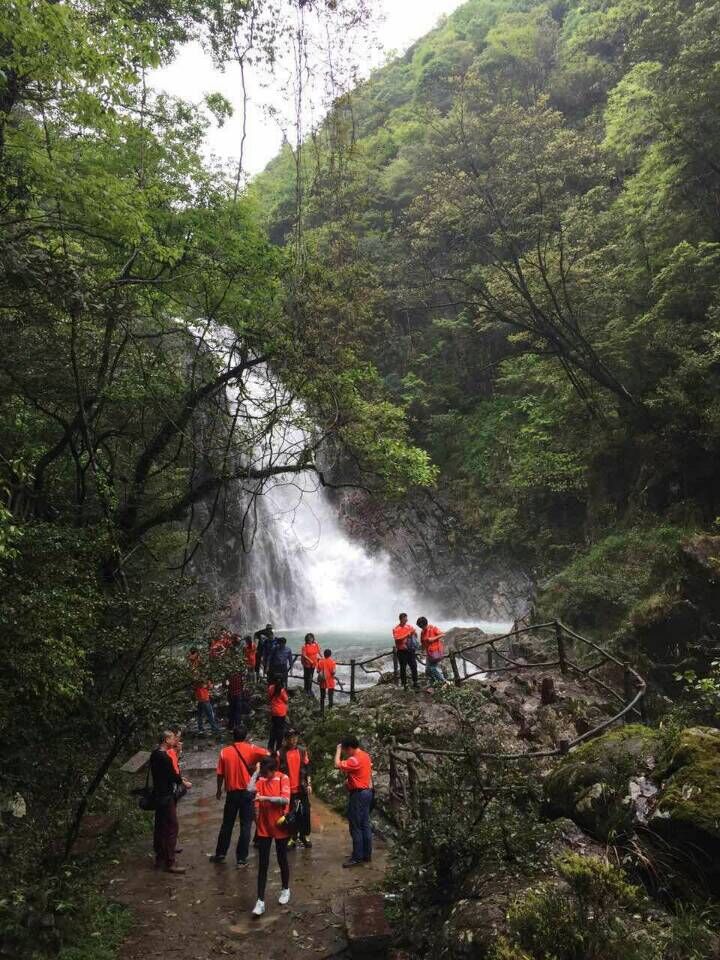 阳春好时节 邀友踏清风
